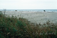 e1r0106110