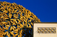 f1l080109
