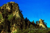 f1r070106