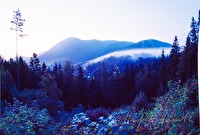 f1r070113