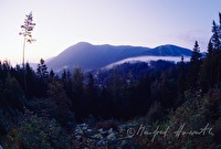 f1r070115