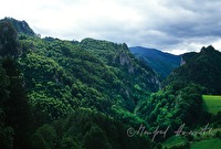 f1r070215