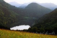f1r090101