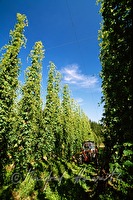 f1r210229