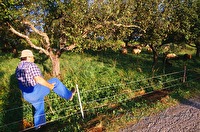 f2l370412