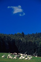 f3l140111