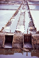 f4l540116