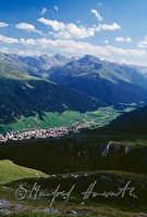 f4l810116