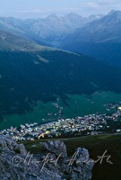 f4l810118