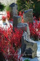 xa0043364