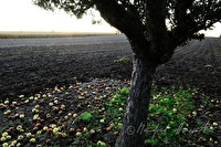 xa0056113