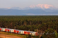 xb0017918