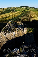 xb0043828