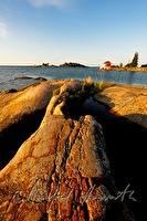 xb0047676