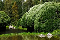 xb0048789