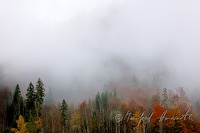 xb0058889