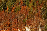 xb0059711