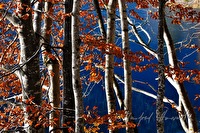 xb0059713