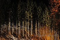 xb0062676