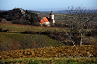 xb0063651