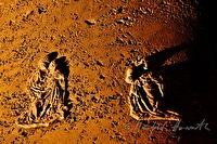 xb0068976