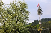 xb0081637