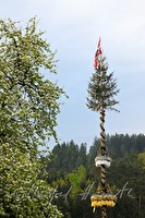 xb0081656