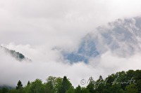 xb0084395