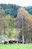 xb0150068